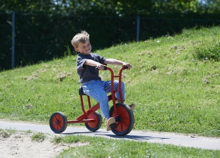 Immagine prodotto Winther 45200 VIKING triciclo grande (età: 4-8 anni / altezza manubrio 69 cm / altezza sedile 43 cm)