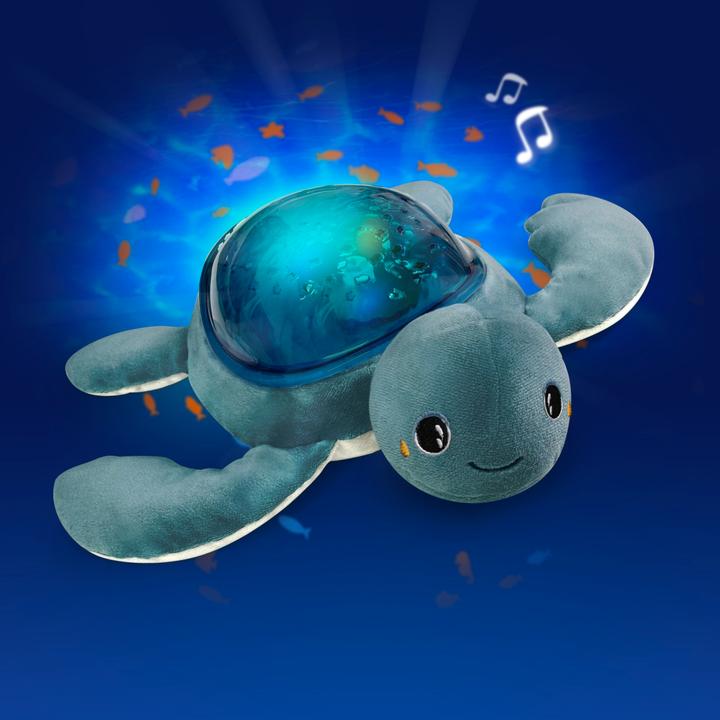 Actual product image Pabobo Turtle
