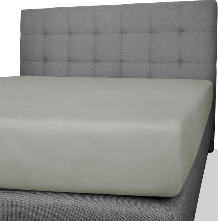Actual product image Aspero Natal cotton fitted sheet - 8476 (90, 100 x 200 x 25 cm)