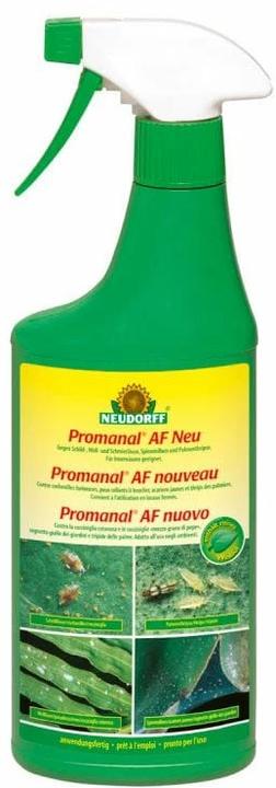 Immagine prodotto Neudorff Promanal AFScale e cocciniglia free (Acari del ragno rosso, Fragore, Cocciniglie)