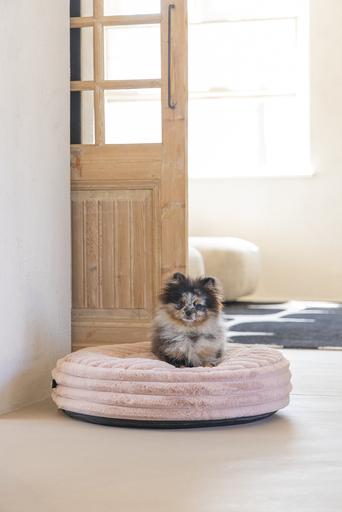 Actual product image Designed by Lotte Reza reclining cushion (Dog)