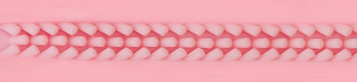 Actual product image Fleshlight Lady Touch