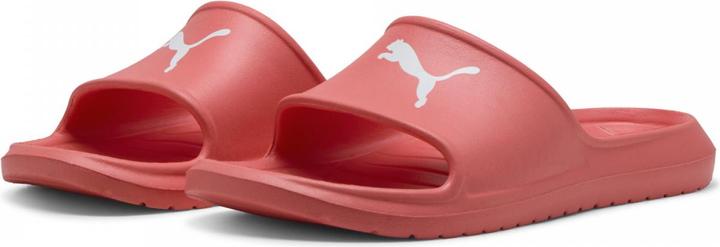 Actual product image Puma Divecat v2 Lite Cat (40.5)