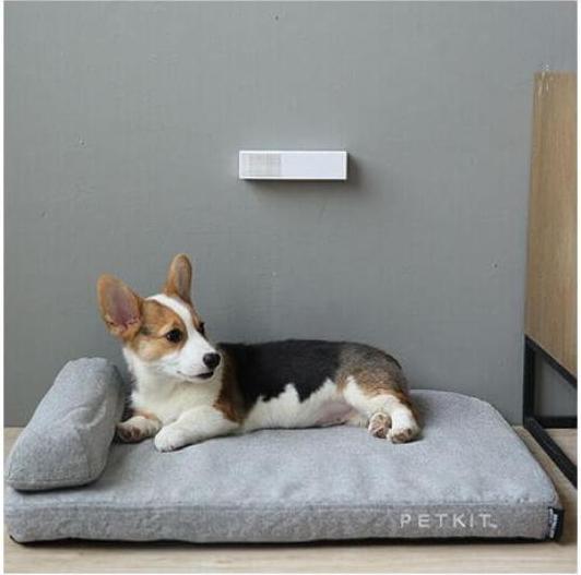 Actual product image Petkit Pura Air Smart Odor Eliminator (Dog, Cat)