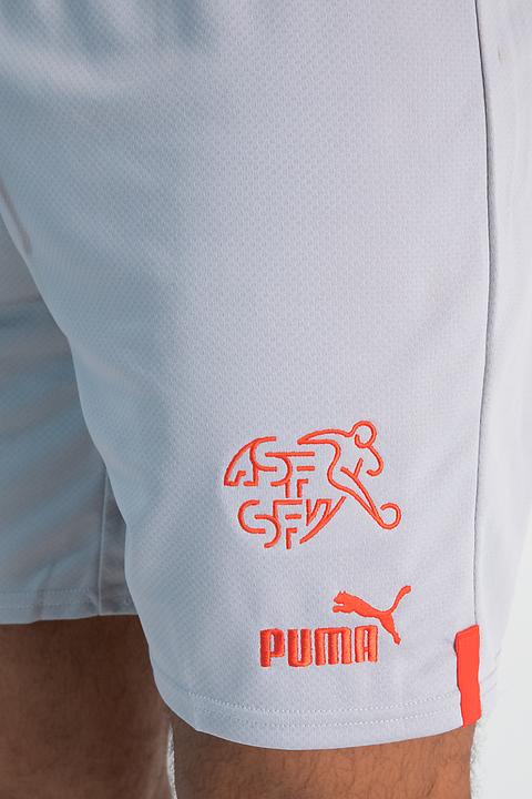 Actual product image Puma SFV Shorts Replica (XL)