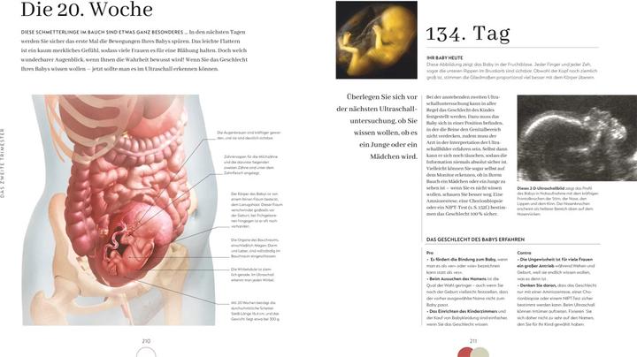 Image du produit Alles über meine Schwangerschaft Tag für Tag (Allemand, Anke Wellner-Kempf, Maggie Blott, 2023)