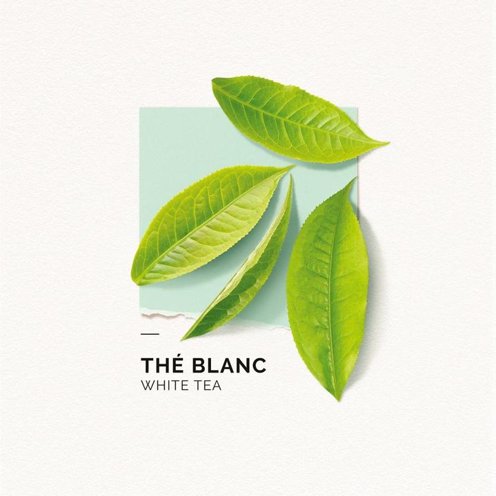 Actual product image Solinotes Paris Solinotes - Thé Blanc Eau De Parfum (Eau de parfum, 50 ml)