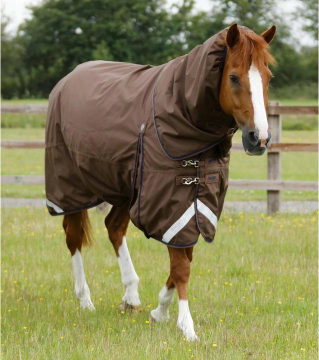 Produktbild Premier Equine Buster 400 g (213 cm)
