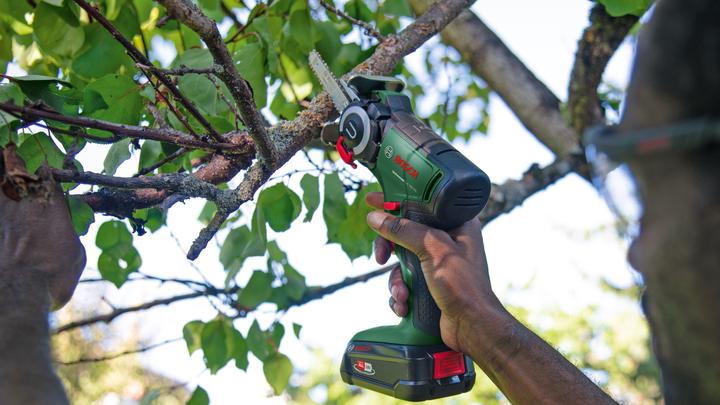 Produktbild Bosch Home & Garden UniversalCut 18V-65