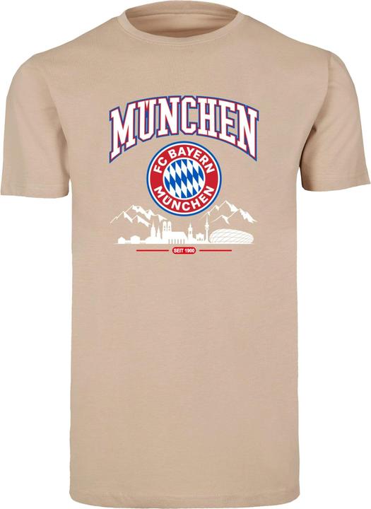 Image du produit FC Bayern München FC Bayern Skyline grey T-shirt col rond - 115513 (L)