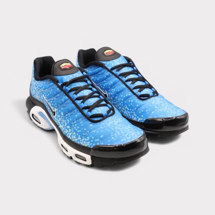 Actual product image Nike Air Max Plus (42)