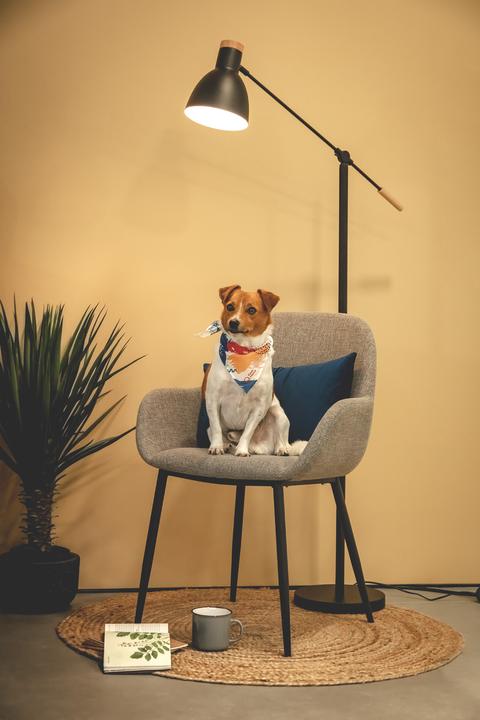 Image du produit Kave Home Konna