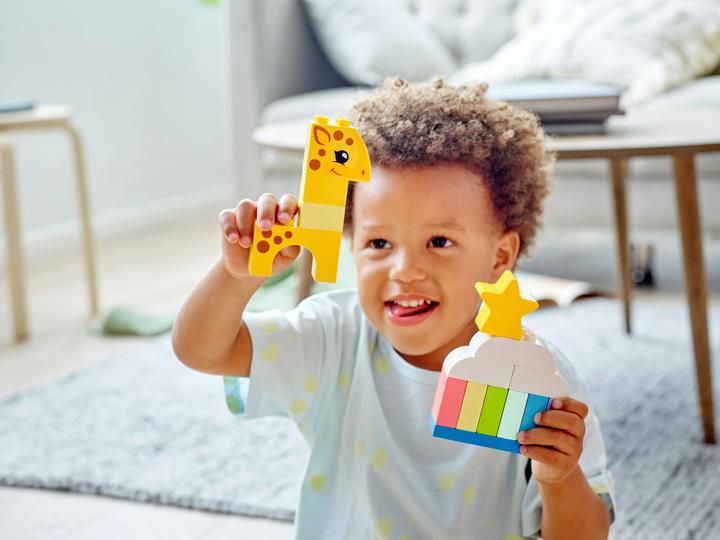 Immagine prodotto LEGO Tempo di costruzione creativa 10978 (10978)