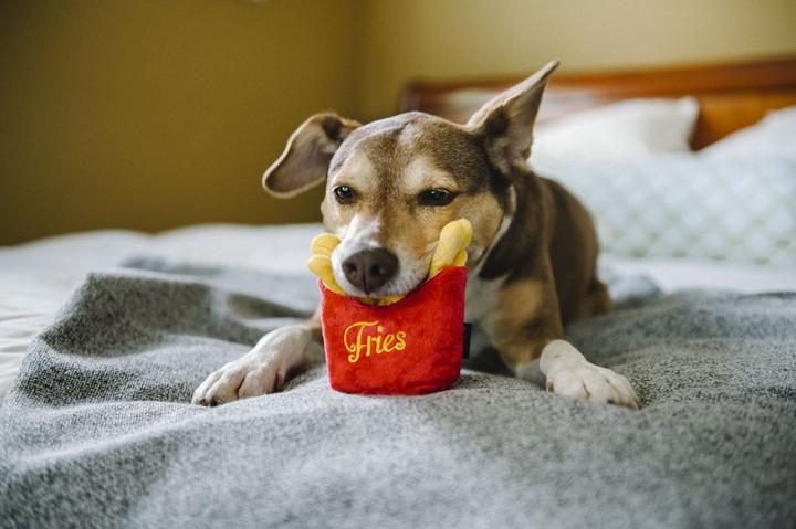 Image du produit P.L.A.Y. Frites (Jouet en peluche chien)