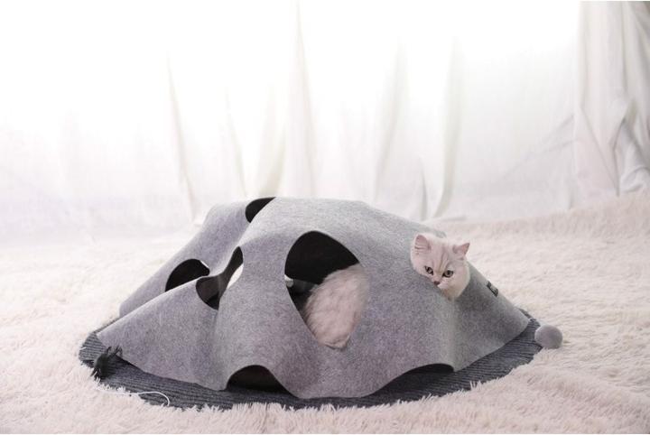 Image du produit Chiara Tapis de jeux interactif pour chats (Jouet d'occupation chat)