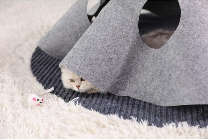 Image du produit Chiara Tapis de jeux interactif pour chats (Jouet d'occupation chat)