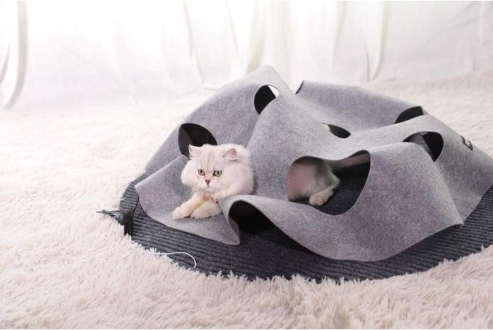 Image du produit Chiara Tapis de jeux interactif pour chats (Jouet d'occupation chat)