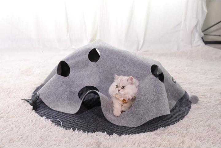 Image du produit Chiara Tapis de jeux interactif pour chats (Jouet d'occupation chat)