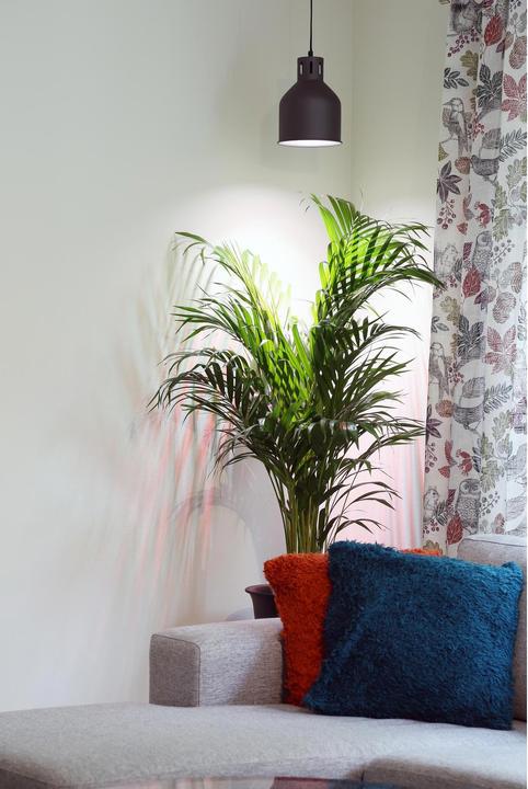 Actual product image Venso Saga (LED, 230 V)