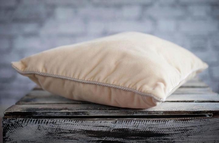 Actual product image DOR Kopfkissen Alivia Natur Hirse (40 x 50 cm)