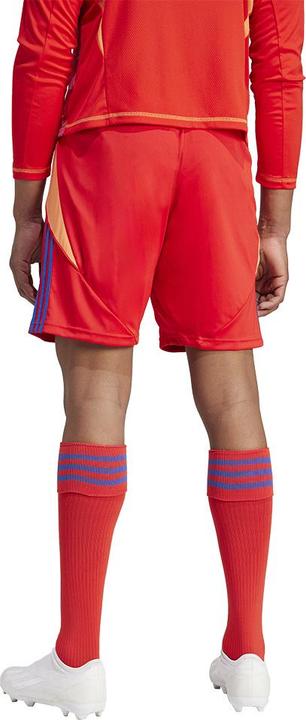 Actual product image adidas TIRO24 SHORT (XS)