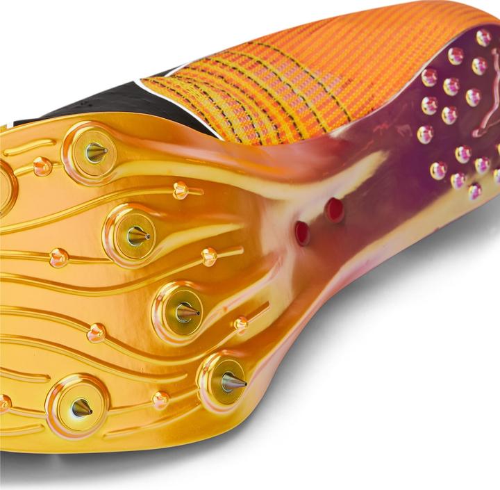 Produktbild Puma evoSPEED Tokyo Nitro (40.5)