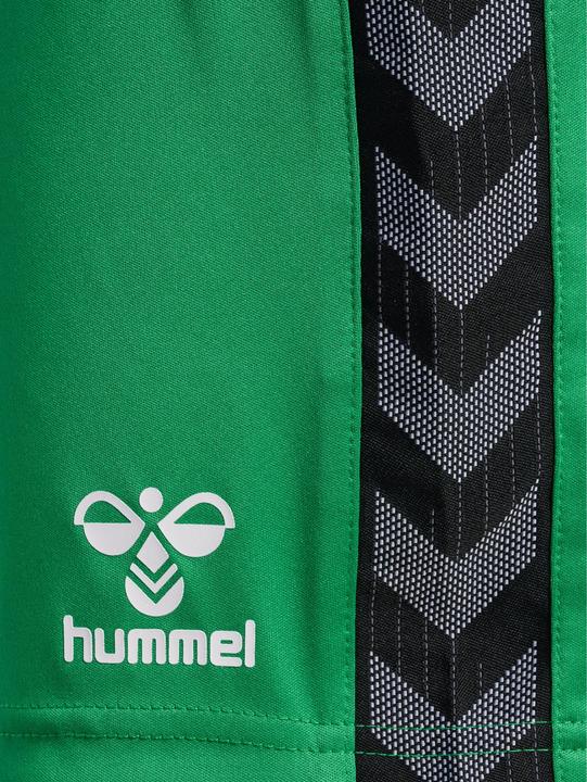Image du produit hummel Hmlauthentic Pl Shorts Femme (S)