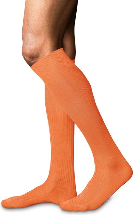 Actual product image Falke No. 10 KH (45 - 46)