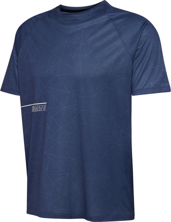 Insigniablue