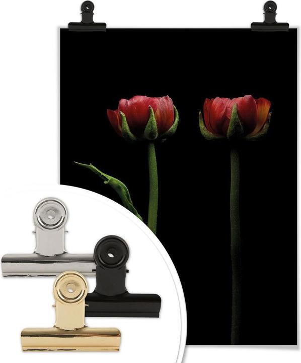 Immagine prodotto Trenddeko Due ranuncoli rossi (24 x 30 cm)