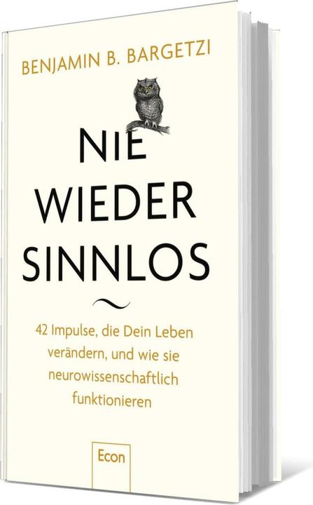 Actual product image Nie wieder sinnlos (German, Benjamin B. Bargetzi, 2025)
