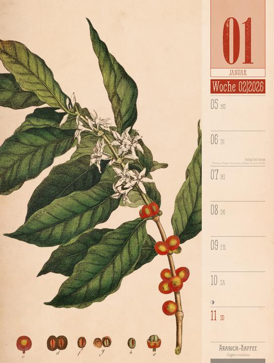 Produktbild Culinarium - Küche, Kräuter, Kurioses - Vintage Wochenplaner Kalender 2026 (25 x 33 cm, Harter Einband, Deutsch)