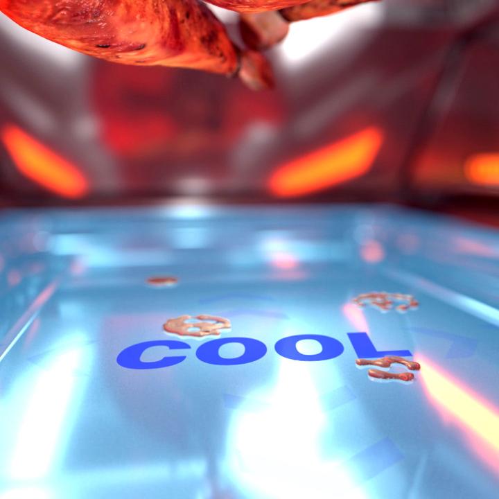 Image du produit Livington Rotisserie Chef