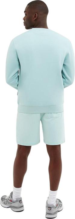 Immagine prodotto Nicce shorts garment dye mercury (L)