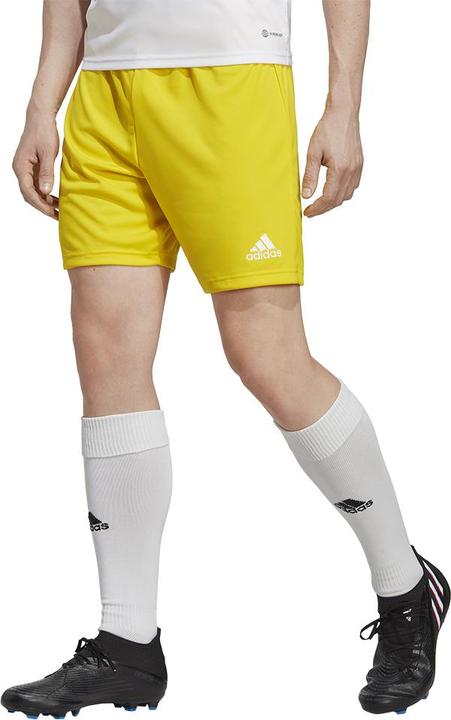Immagine prodotto adidas Pantaloncini Entrada 22 Uomo Giallo IC7404 (XL) (XL)