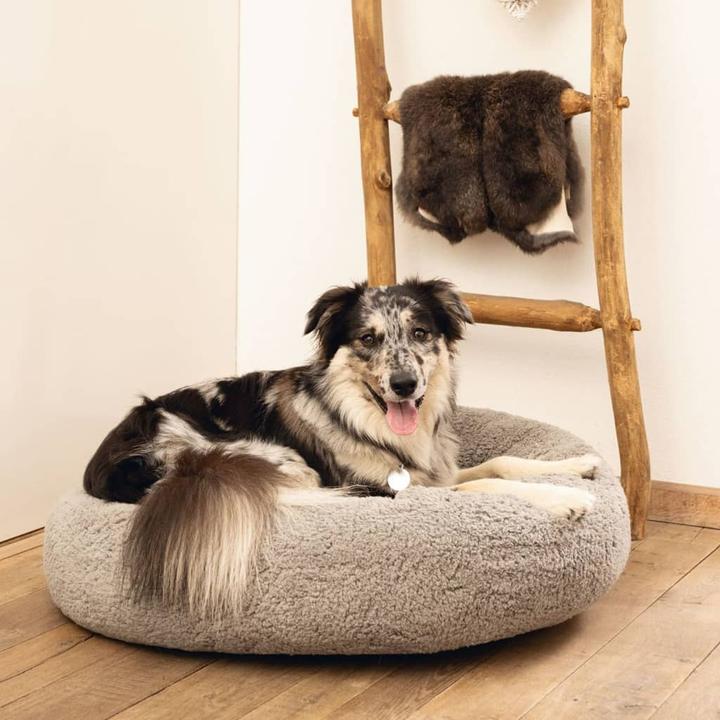Image du produit Beeztees Jaxx (Chien)