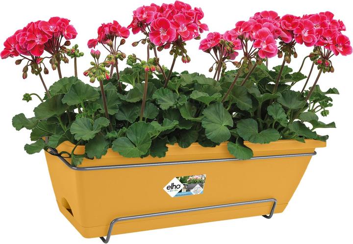 Actual product image Elho Barcelona Allin1 (28.60 cm)
