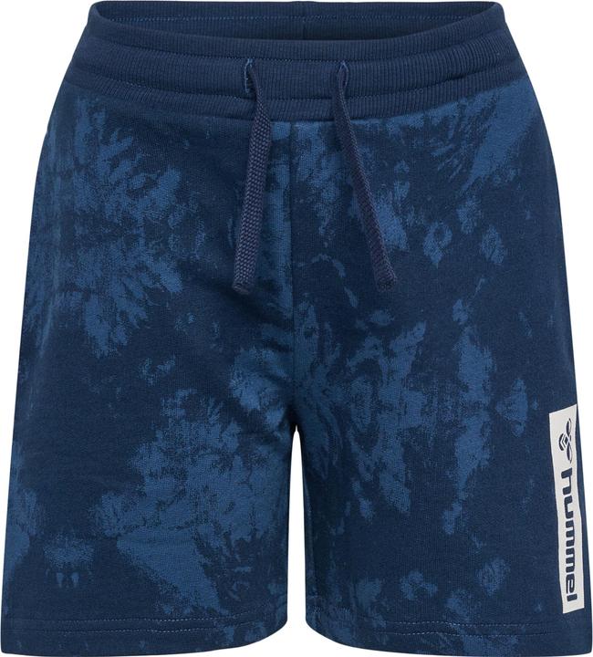 Actual product image hummel Hmljump Aop Shorts (146)