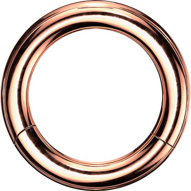 Actual product image Star Piercing Segment ring hinged rose gold (Surgical steel 316L, without brass)
