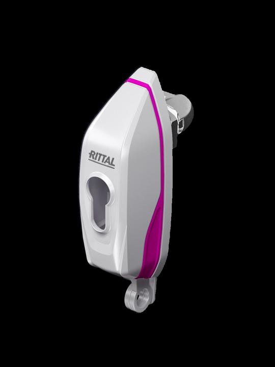 Actual product image Rittal AX 2537.300 Handle for padlock and locking inserts Black 1 pc.