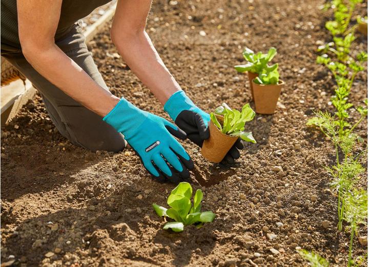 Immagine prodotto Gardena Pianta e guanto di terra (S)