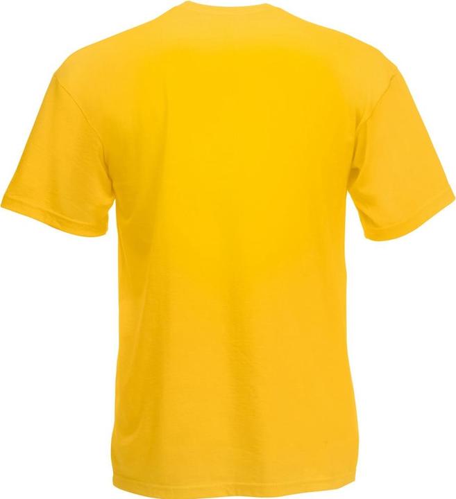 Image du produit Fruit of the Loom T-shirt Valueweight col V manches courtes (S)