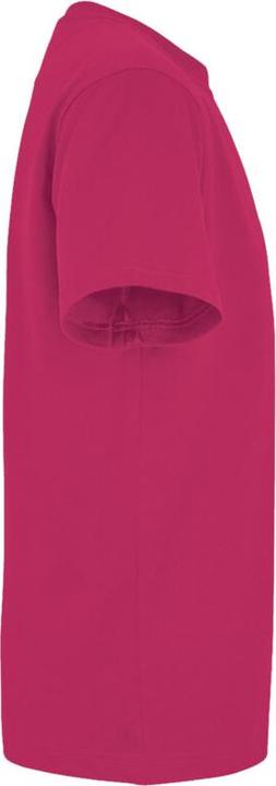 Image du produit Hakro T-shirt MIKRALINAR® (en anglais) (L)
