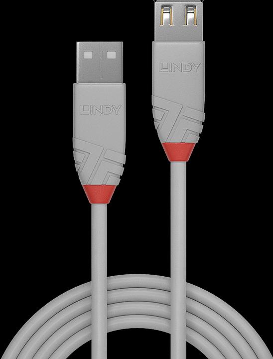 Actual product image Lindy USB A –  USB A (1 m, USB 2.0)