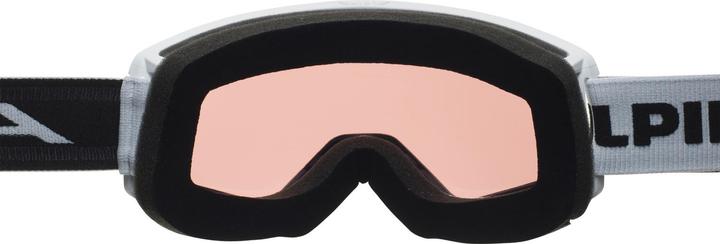Produktbild ALPINA SPORTS NARKOJA Q Skibrille