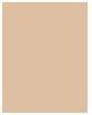 Produktbild Estée Lauder Pure Color Envy (020)