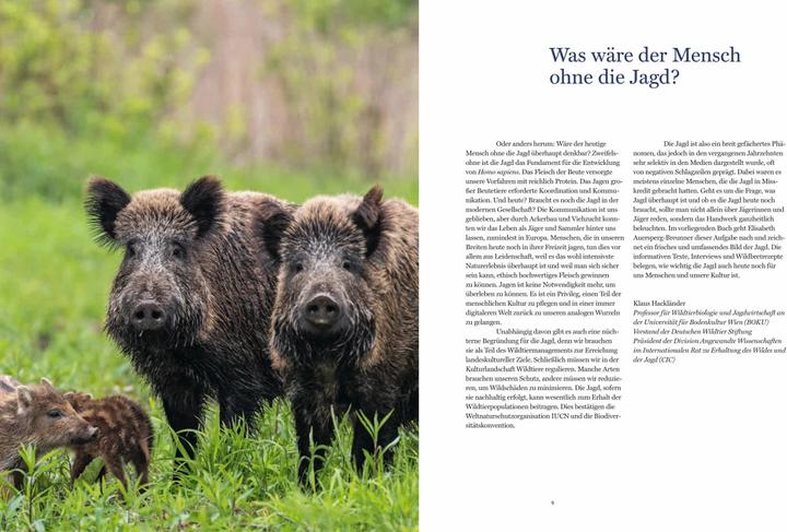 Produktbild Auf der Jagd (Deutsch, Elisabeth Auersperg-Breunner, 2023)
