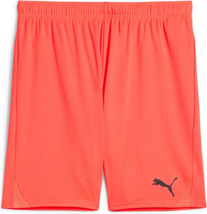 Actual product image Puma teamGOAL shorts (L)