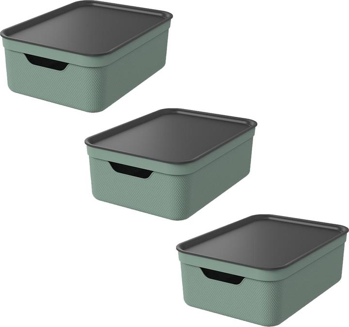Produktbild Rotho Jive (37.5 x 28 x 23.5 cm, 10 l)