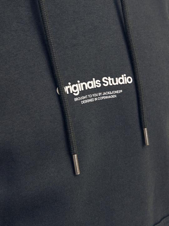 Actual product image Jack & Jones Printed hooded sweatshirt Hooded sweatshirt (L)